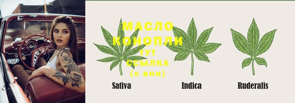 прущие грибы Магас