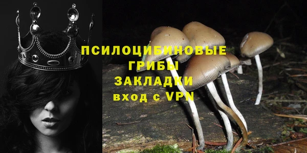 прущие грибы Магас