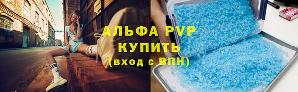 прущие грибы Магас