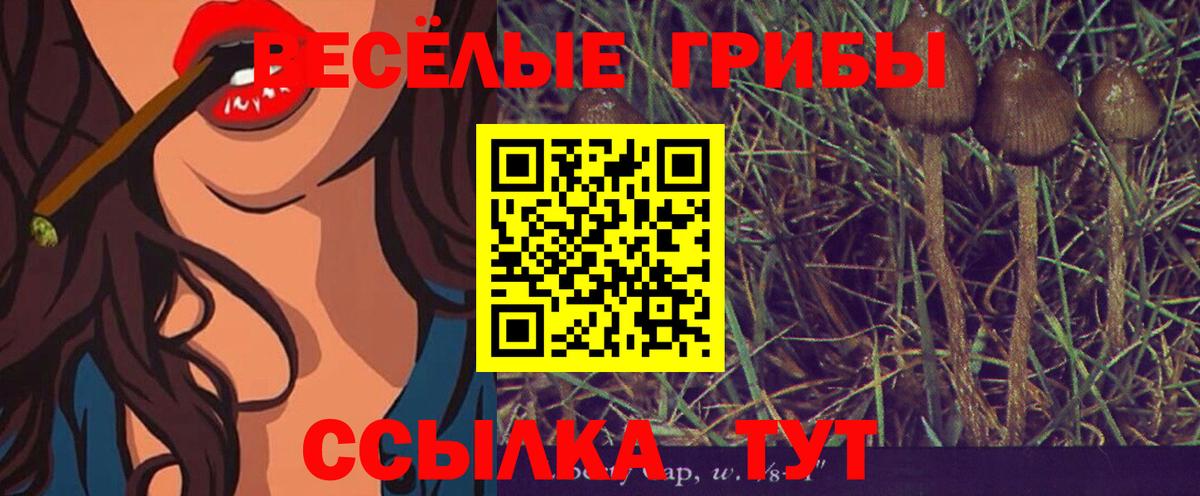 Химки  Псилоцибиновые грибы Magic Shrooms  как найти закладки  Вход с VPN 