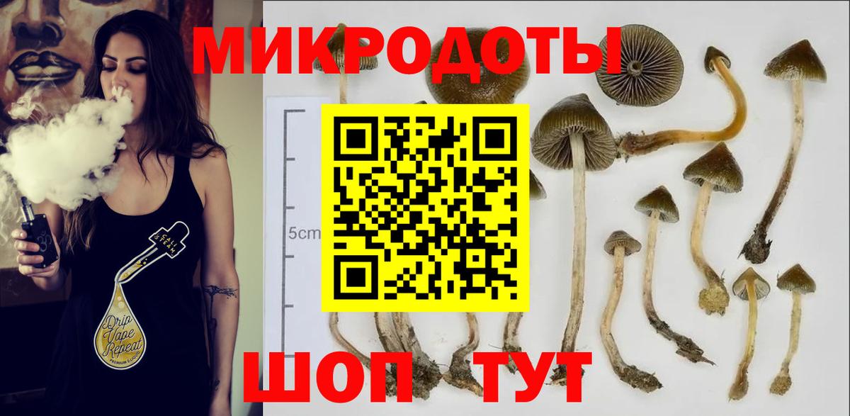 Галлюциногенные грибы Magic Shrooms  Химки  Псилоцибиновые грибы прущие грибы 